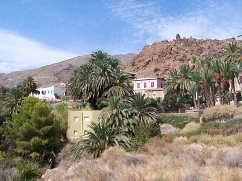 Valle con palmeral verde y edificios blancos al pie de laderas áridas.